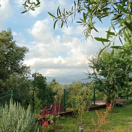 Casa Coruja